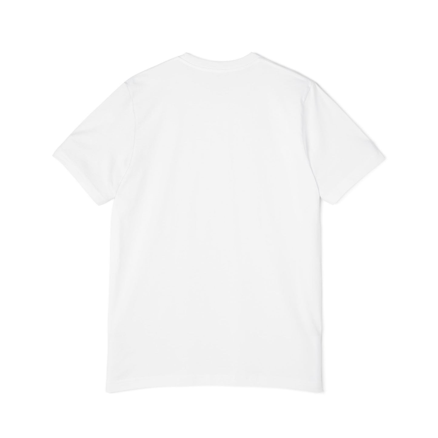 the DadStoke Steamer Lane Tee